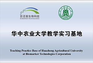 網站牌匾